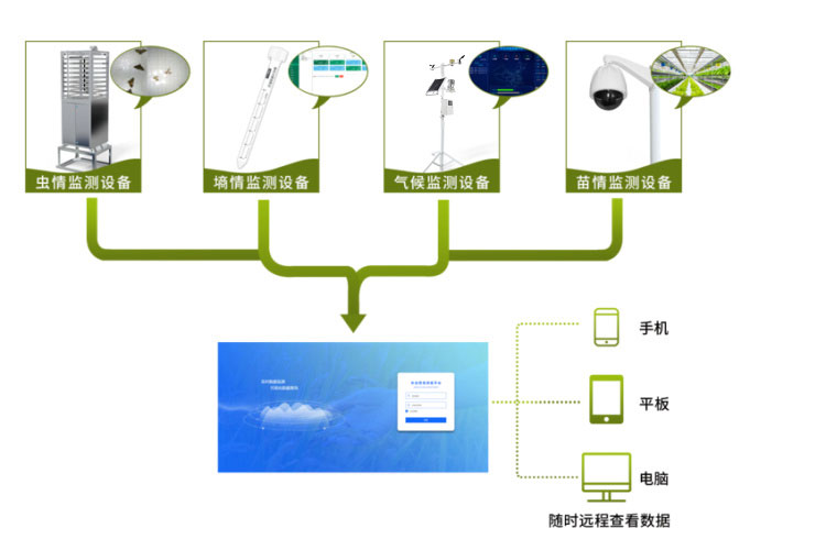 農(nóng)業(yè)四情監(jiān)測(cè)管理系統(tǒng)